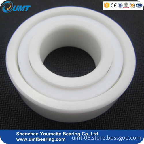 6008 Full Ceramic Bearing